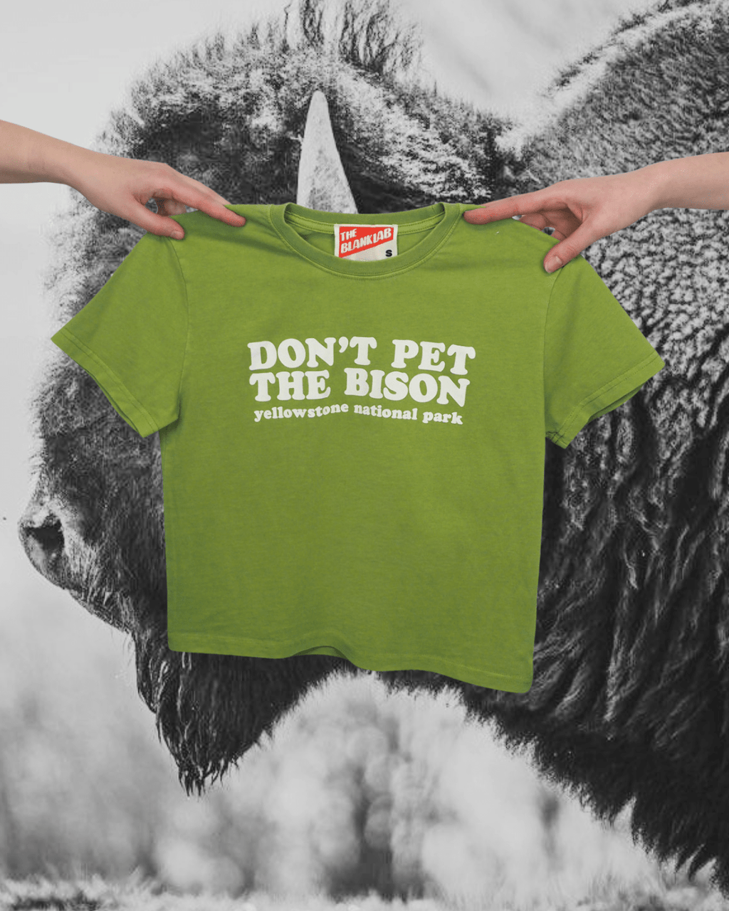 "Don't Pet The Bison" Perfect Tee - Intrigue Ink Visit Bozeman, Unique Shopping Boutique in Montana, Work from Home Clothes for Women