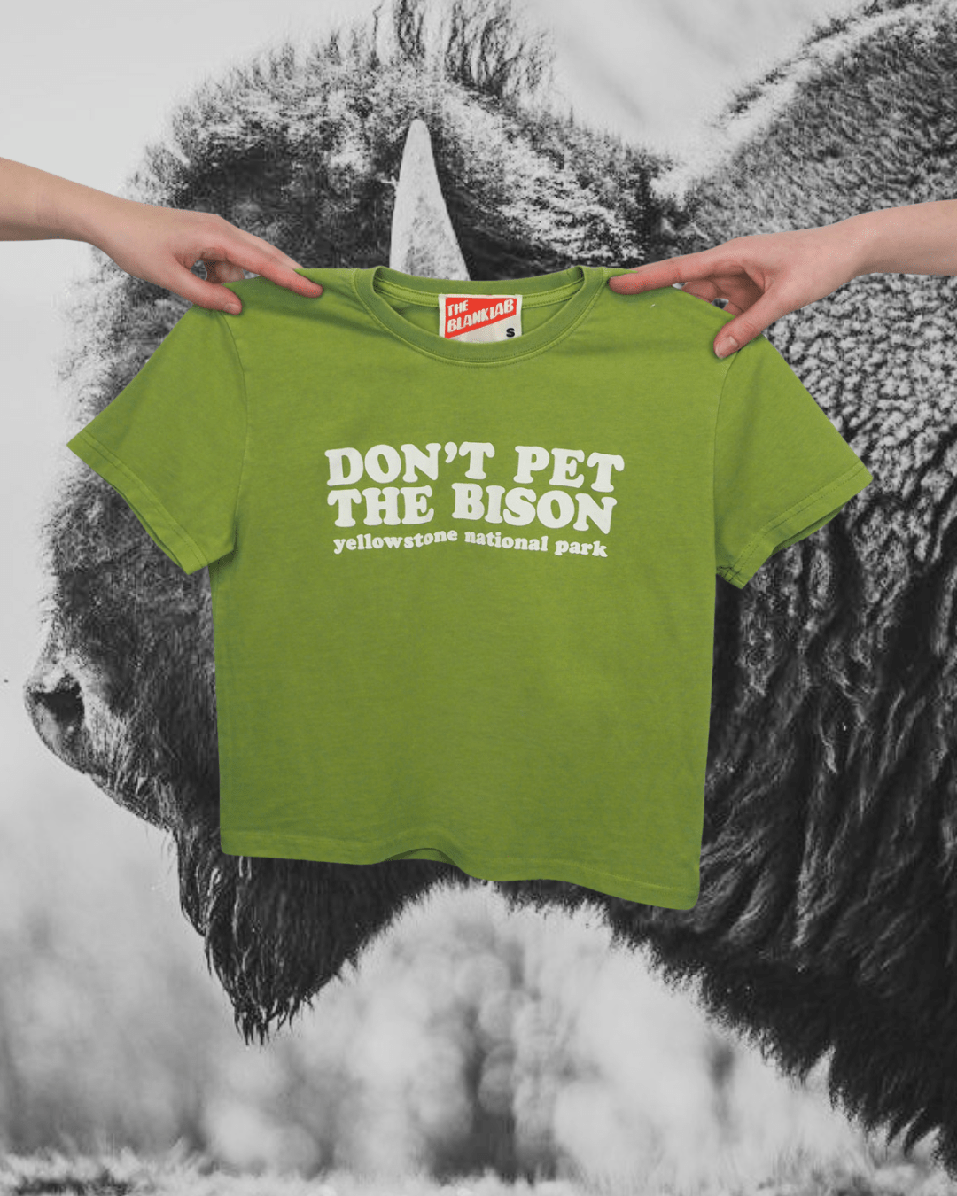 "Don't Pet The Bison" Perfect Tee - Intrigue Ink Visit Bozeman, Unique Shopping Boutique in Montana, Work from Home Clothes for Women