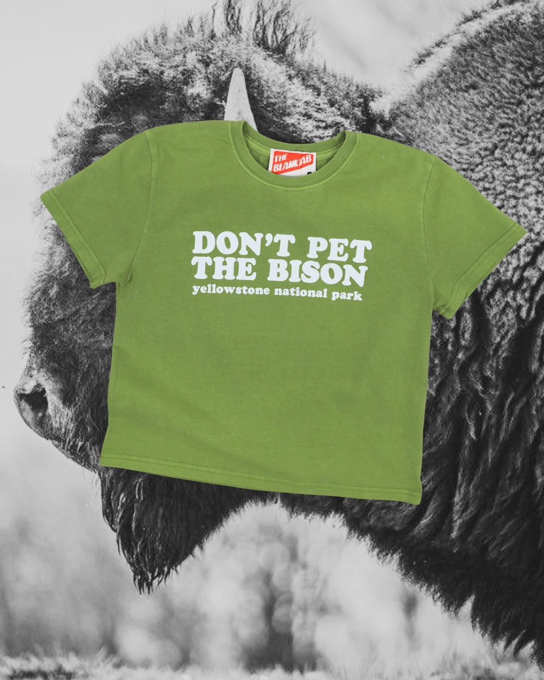 "Don't Pet The Bison" Perfect Tee - Intrigue Ink Visit Bozeman, Unique Shopping Boutique in Montana, Work from Home Clothes for Women