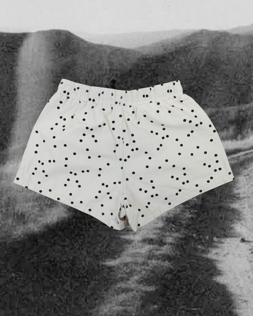 Polka Dot Elastic Bank Waist Shorts