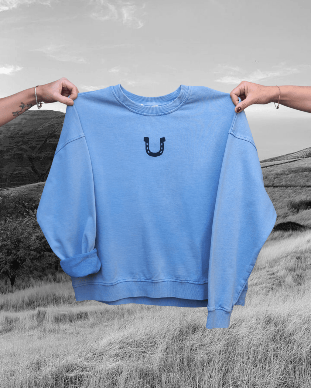 Horseshoe Pullover - Aqua - Intrigue Ink Visit Bozeman, Unique Shopping Boutique in Montana, Work from Home Clothes for Women