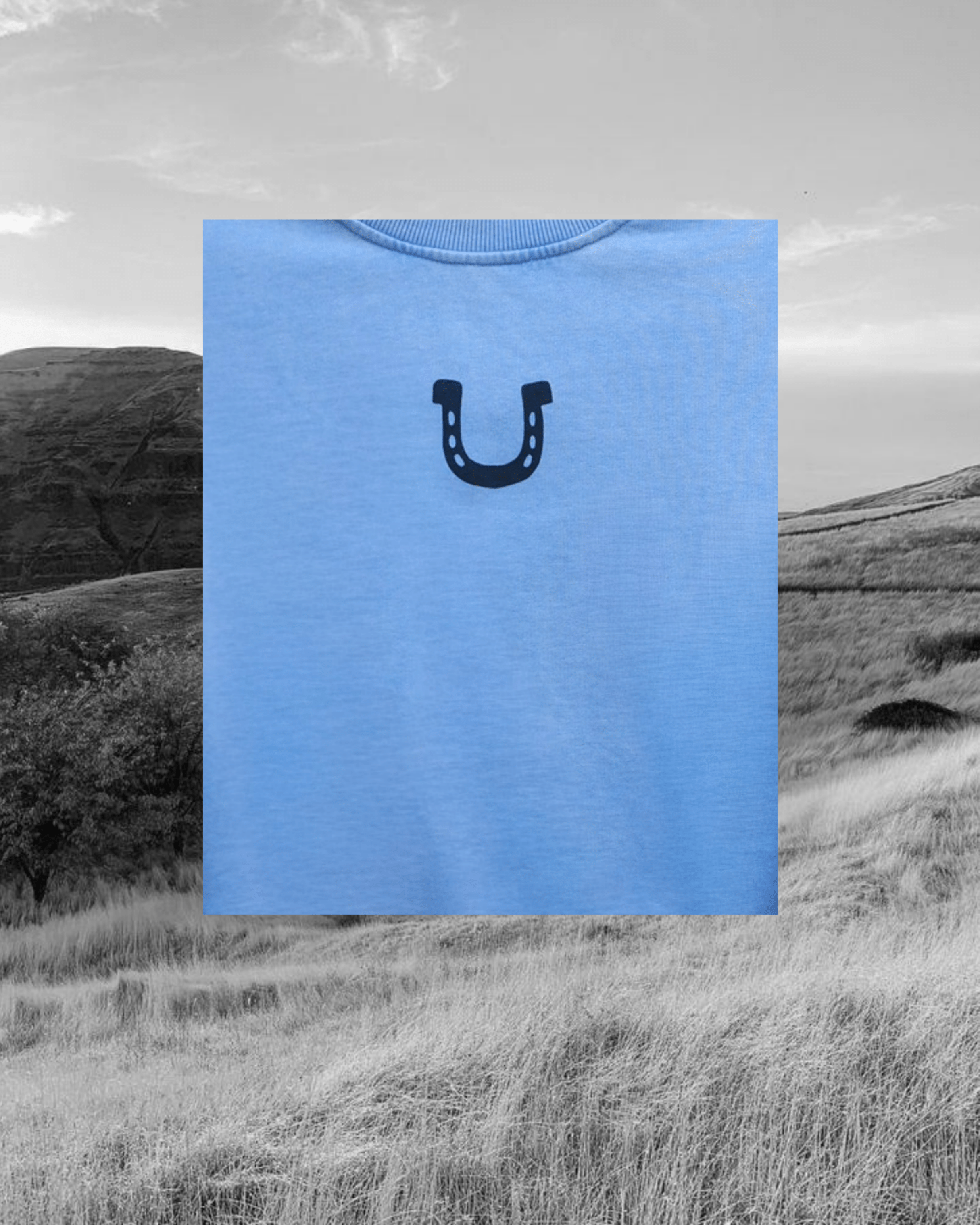 Horseshoe Pullover - Aqua - Intrigue Ink Visit Bozeman, Unique Shopping Boutique in Montana, Work from Home Clothes for Women