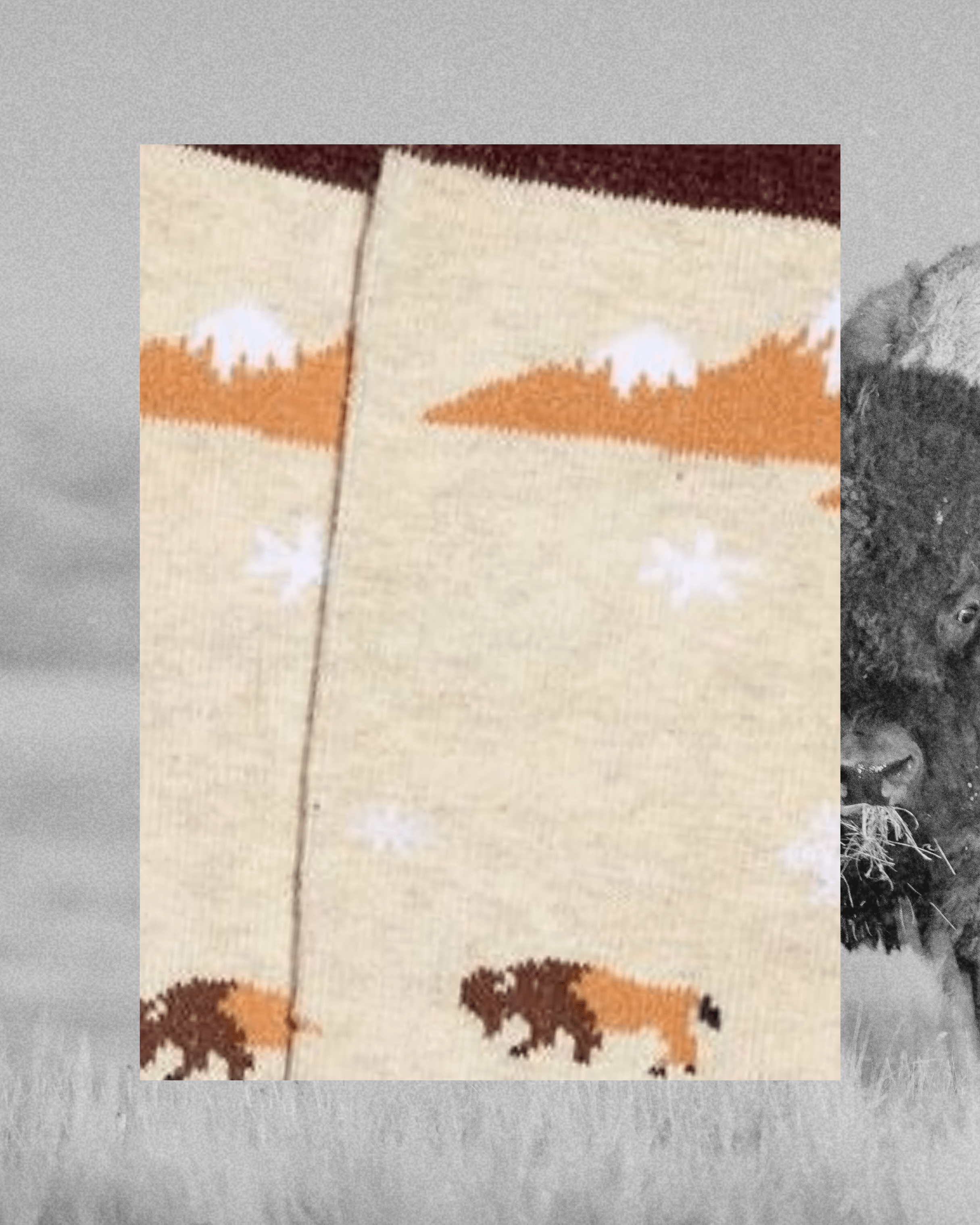 Socks that Protect Bison - Intrigue Ink Visit Bozeman, Unique Shopping Boutique in Montana, Work from Home Clothes for Women