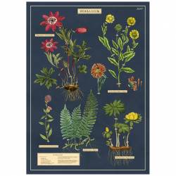 Cavallini Herbarium Vintage Poster - Intrigue Ink Visit Bozeman, Unique Shopping Boutique in Montana, Work from Home Clothes for Women