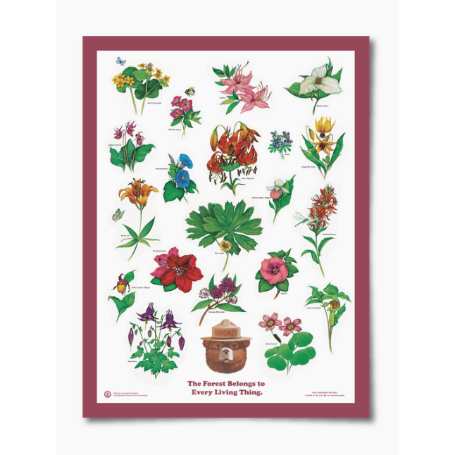 Flowers of the Forest Educational Poster - Intrigue Ink Visit Bozeman, Unique Shopping Boutique in Montana, Work from Home Clothes for Women