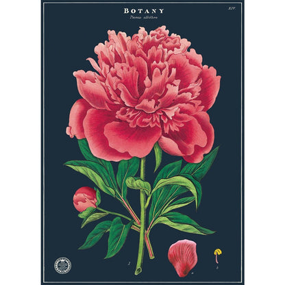 Botany Vintage Cavallini Poster - Intrigue Ink Visit Bozeman, Unique Shopping Boutique in Montana, Work from Home Clothes for Women