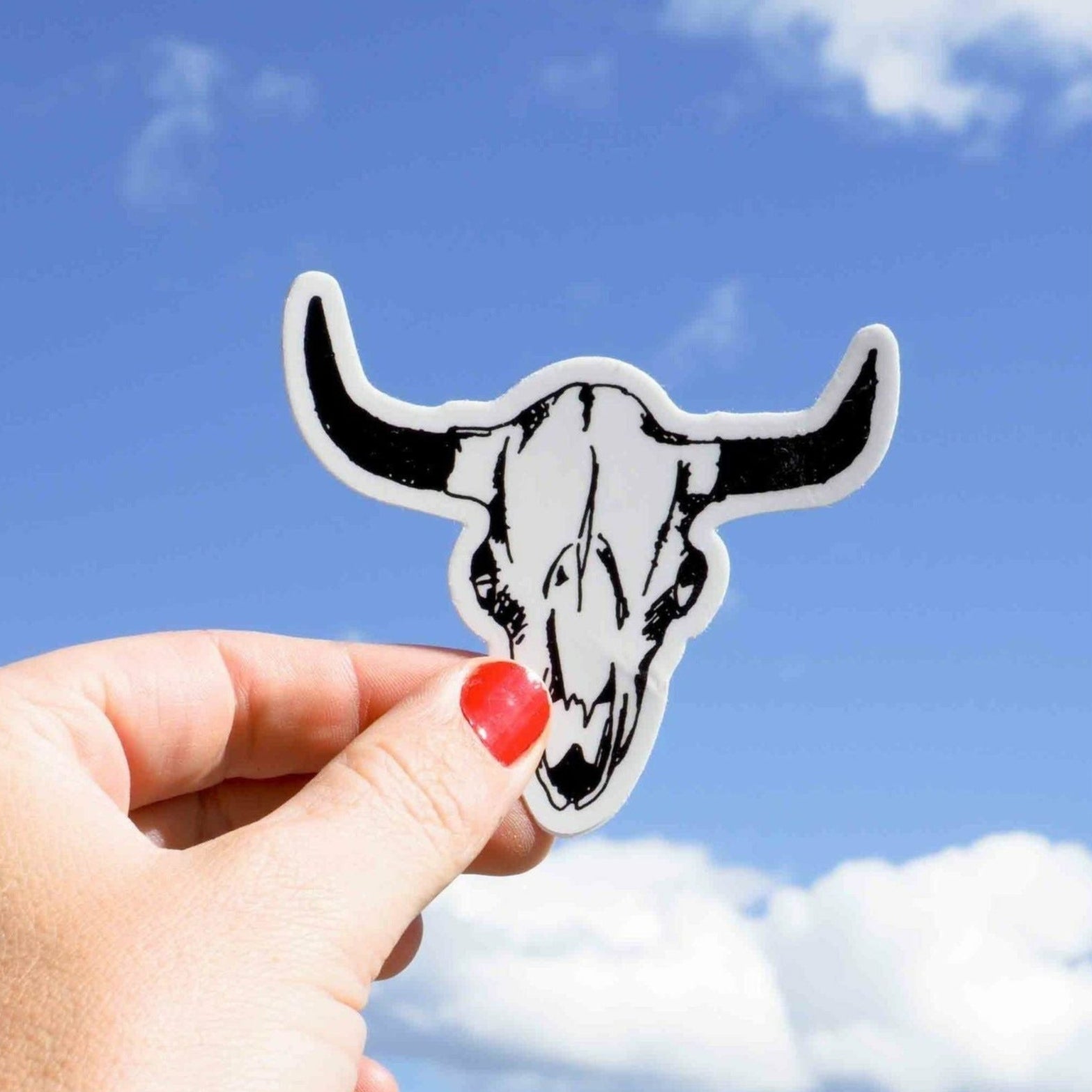 Montana Buffalo Skull Decal