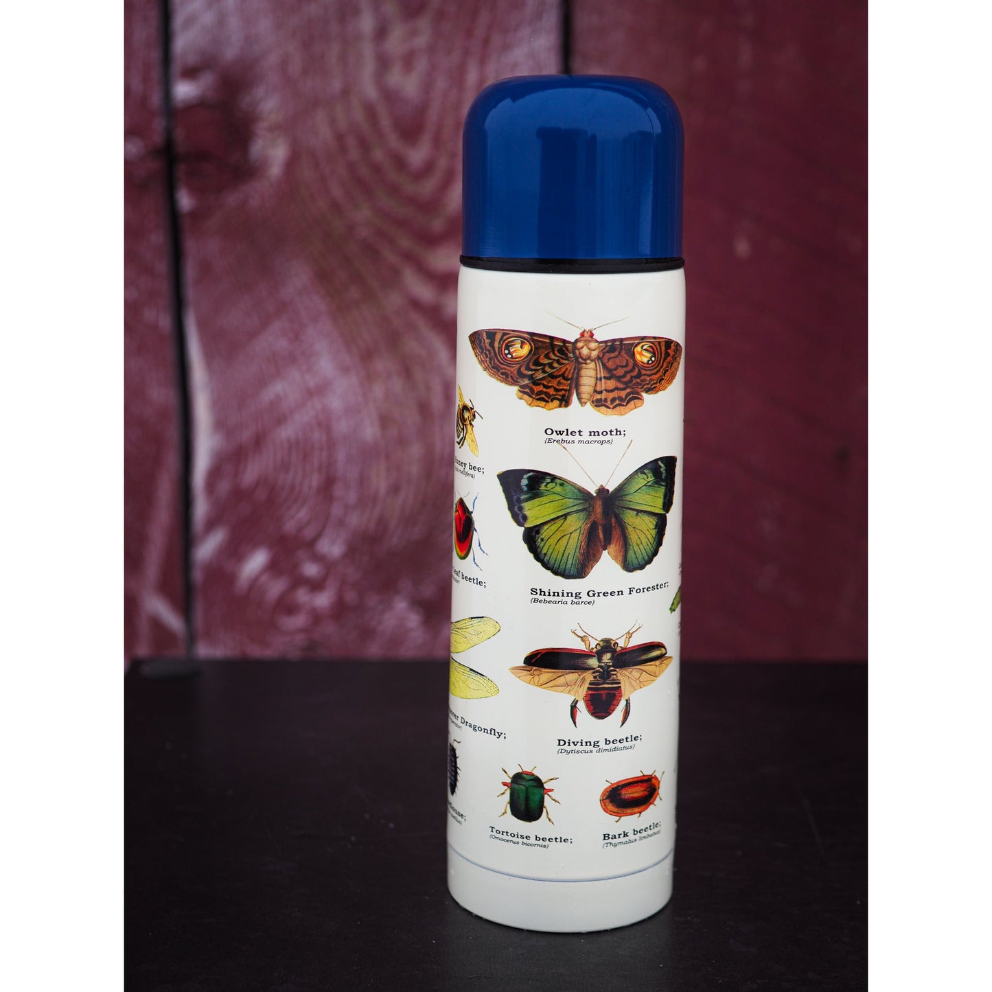 Insects Thermos Flask